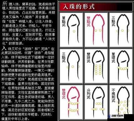 男生和女生的自由凸轮管汇编有什么不同？