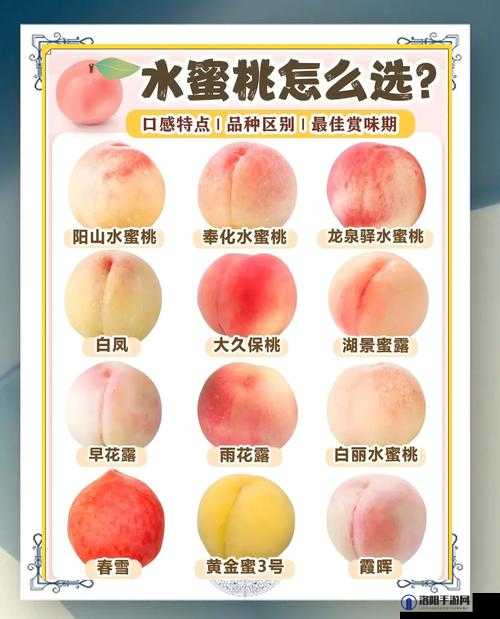 如何挑选水蜜桃？这几个挑选技巧一定要知道