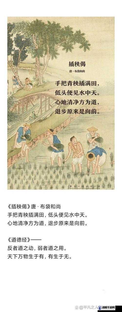 情侣的一百种插秧法：揭秘独特农耕浪漫，打造专属田园爱情故事