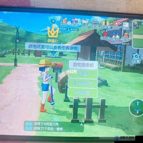 小森生活组队有什么用？组队可以干嘛？