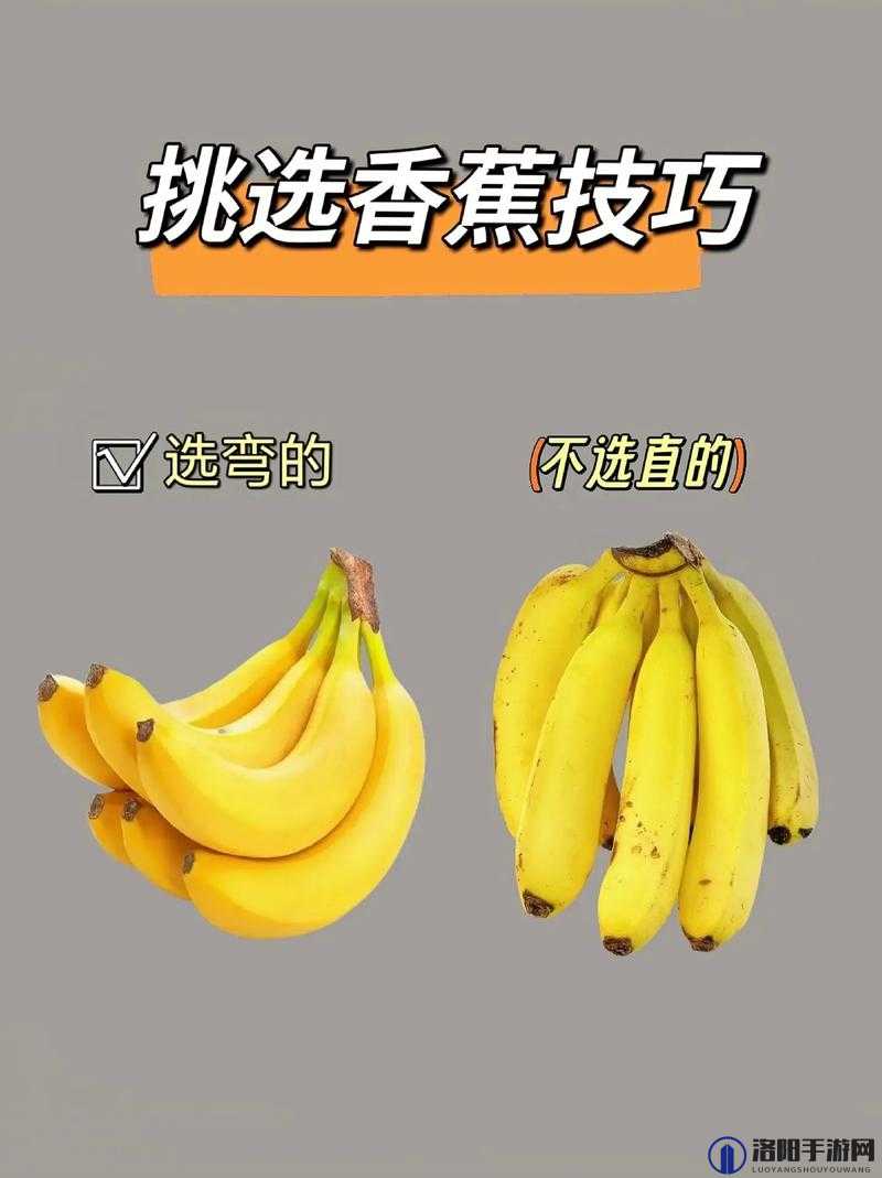 探索蜜臀香蕉的独特魅力：如何挑选、食用与健康益处全解析