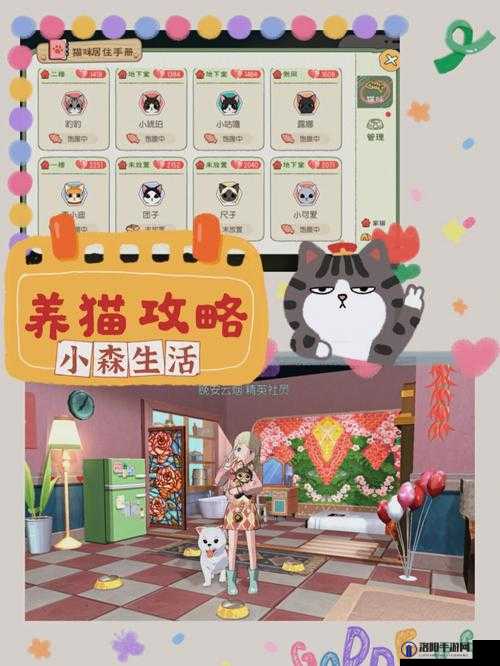 小森生活养猫攻略，宠物亲密度提升全解析