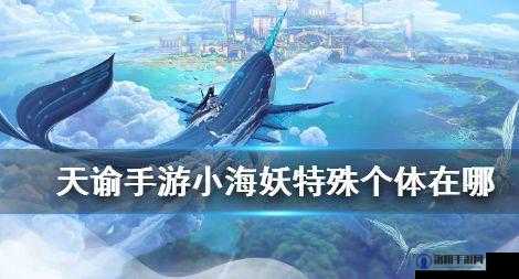 天谕手游小海妖在哪里，资源管理、高效利用与最大化价值