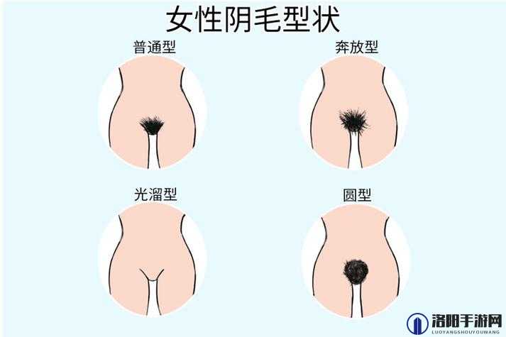 多毛陰戶XXX：探索身体自然美的独特魅力与健康护理指南