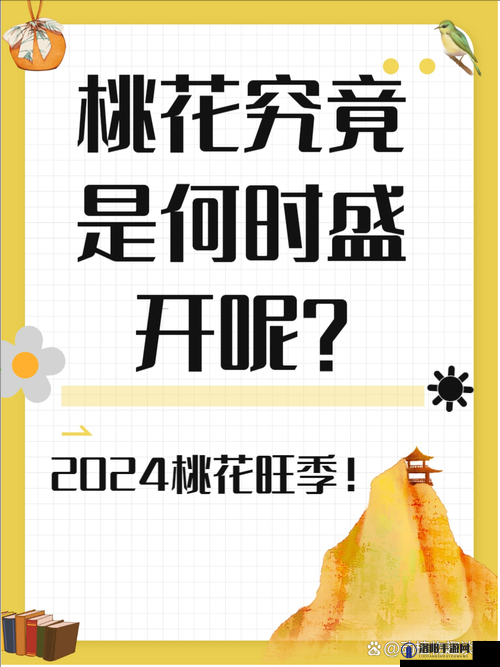 桃花族社区最新动态：如何在这个春天找到属于你的桃花运？揭秘桃花族社区的独特魅力与实用技巧