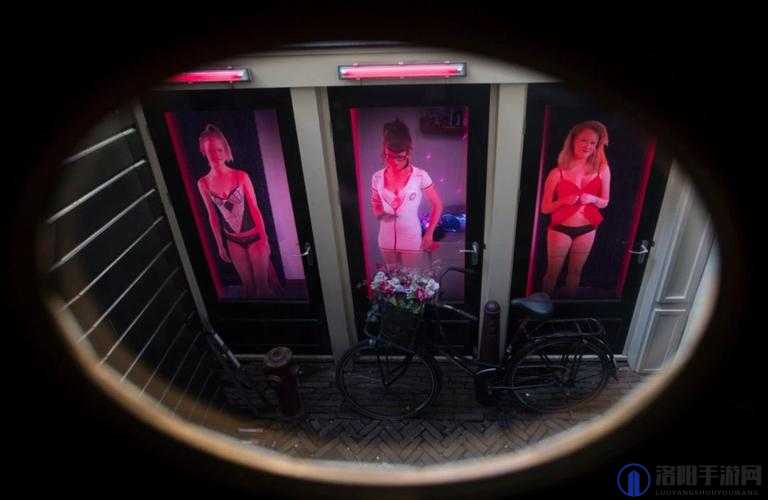 探索婬妇BBXBBXBBxBBX背后的故事：揭秘网络热议话题的真相与影响