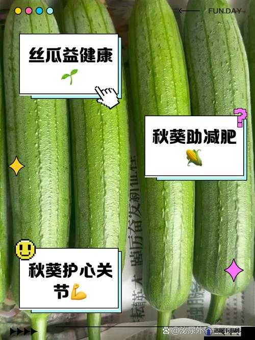 香蕉苹果草莓丝瓜绿巨人：探索这五种水果蔬菜的神奇功效与美味搭配