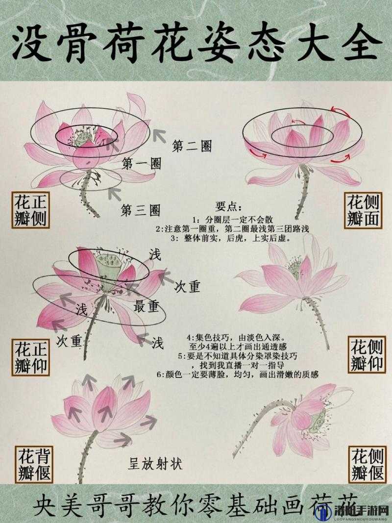 倒插莲花是什么样子的?深入解读倒插莲花的具体形态与特征