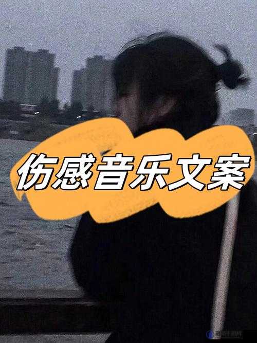 额额额额额额额额呃呃呃：这首歌背后的故事与情感解读，带你了解音乐中的深层含义