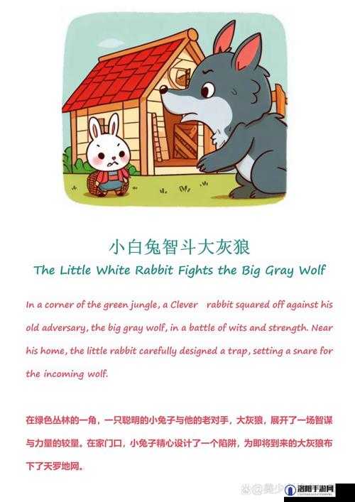 老师的大兔子有哪些有趣的故事呢大兔子背后隐藏着怎样的奇妙呢老师的大兔子蕴含着怎样的特别之处呢