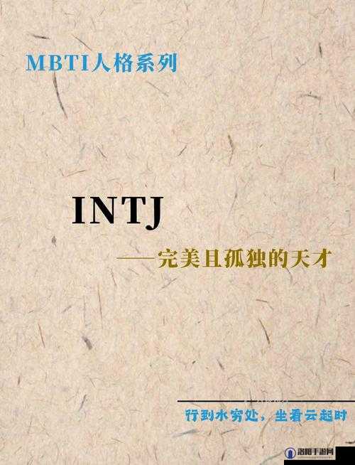 人善 ZZZO 极品究竟是什么？深入解读其背后的奥秘与独特之处