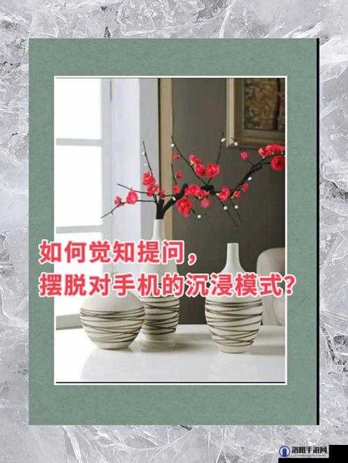 提问：如何鉴别成色好的 P31S 手机？有哪些要点和方法？