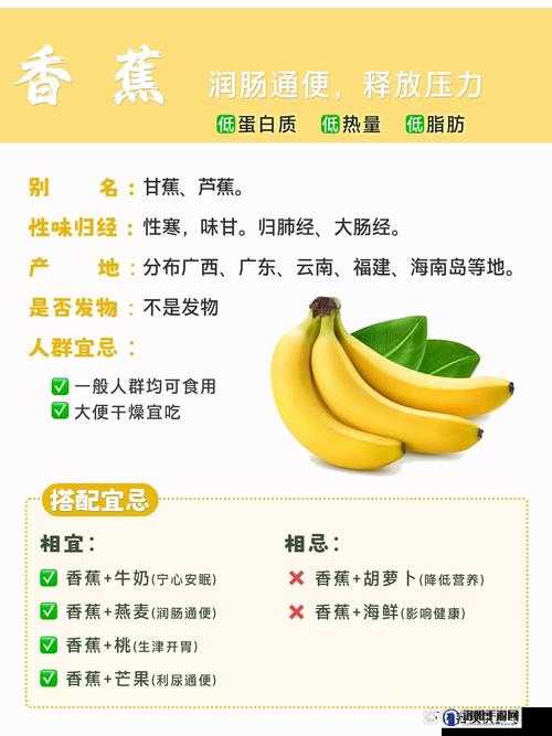 探索爱丝阁大香蕉的独特魅力：从口感、营养价值到健康益处的全面解析