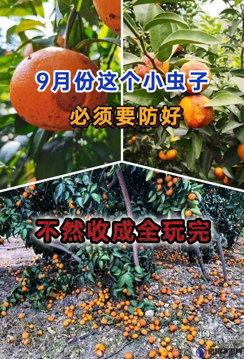 恶果之地西瓜杀手怎么样？西瓜杀手技能属性介绍及玩法革命预测