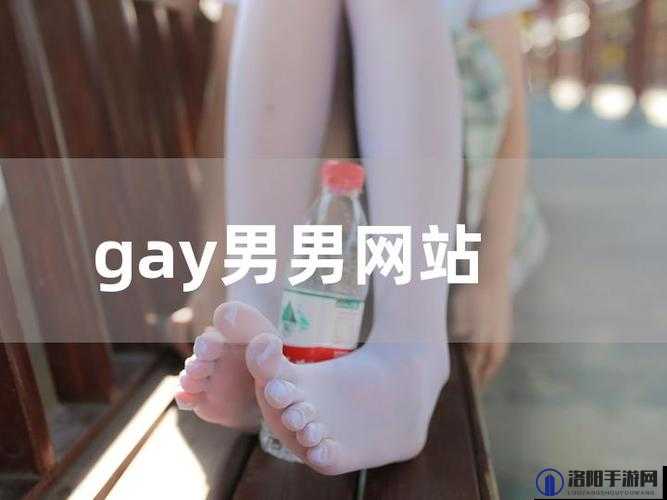 探索日本同志GAY片免费观看的最佳平台，揭秘最新热门作品与经典推荐，满足你的观影需求