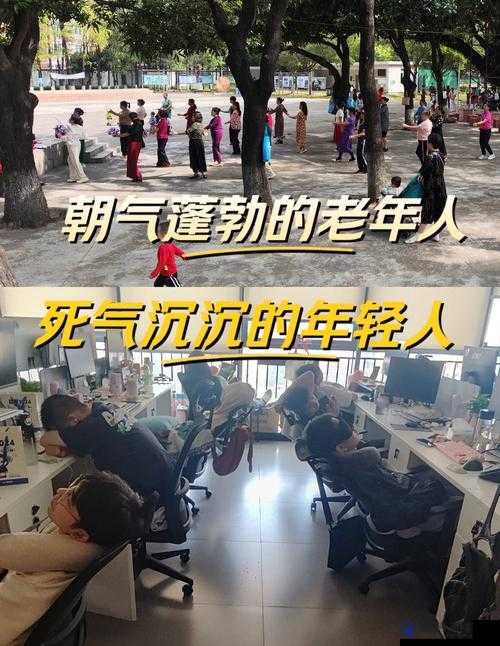 为什么 60 岁老人和 70 岁老人更喜欢和 80 岁年轻人交往？