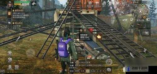 明日之后星河峡谷探秘，解锁神秘宝箱的奇幻之旅