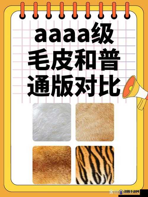 AAAA 级毛皮与AAAA的区别解析：如何辨别高品质毛皮与普通毛皮的不同之处？