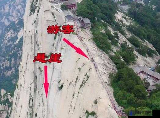 我的侠客怎么跳崖？华山及衡山跳崖方法深度解析