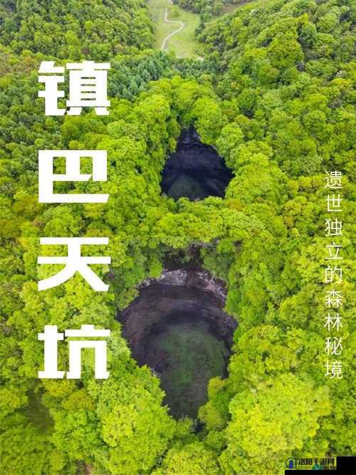 大地资源网更新免费播放视频，精彩内容等你来