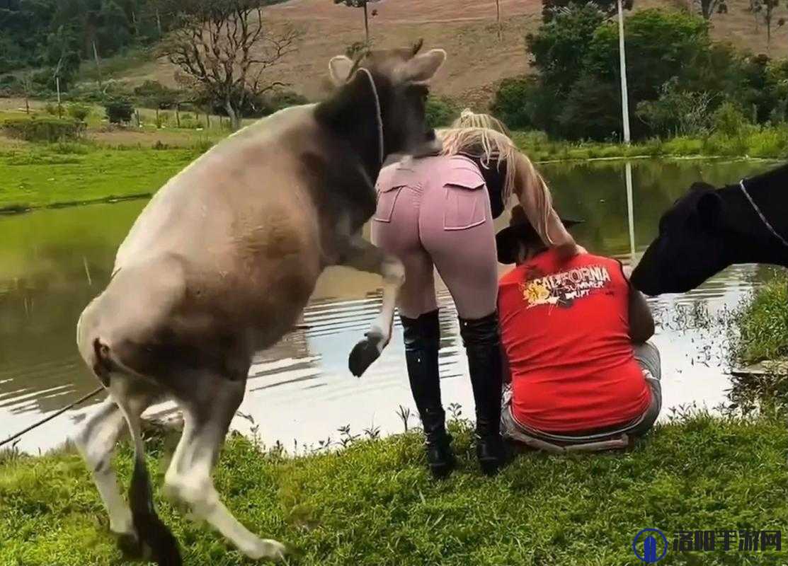 探索女人与公牛的交体艺术:揭秘这幅震撼视觉的图片背后的故事与象征意义