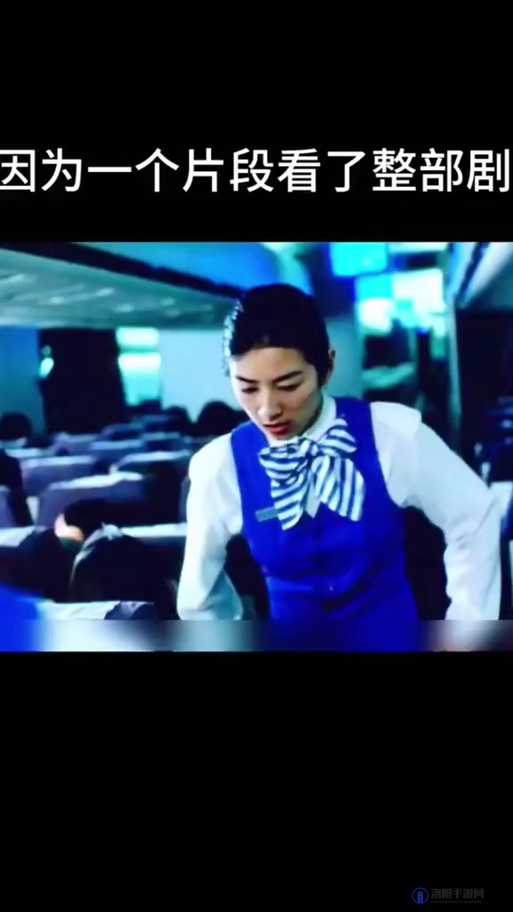 意大利空乘 2009 到底讲述了怎样的故事？剧情简介大揭秘