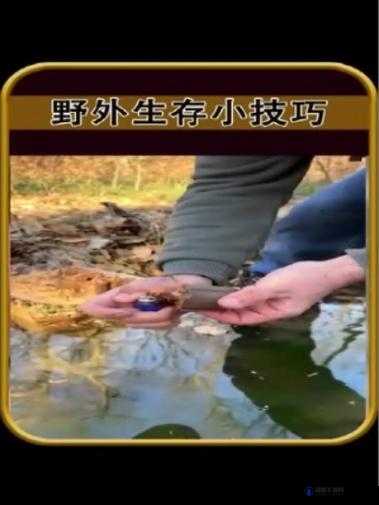 探索自然之美:国产野外野战小树林18视频中的生存技巧与团队合作实录