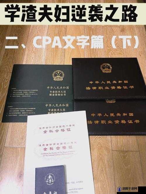 如何通过www.cpa.org.cn获取最新注册会计师考试资讯与备考指南?