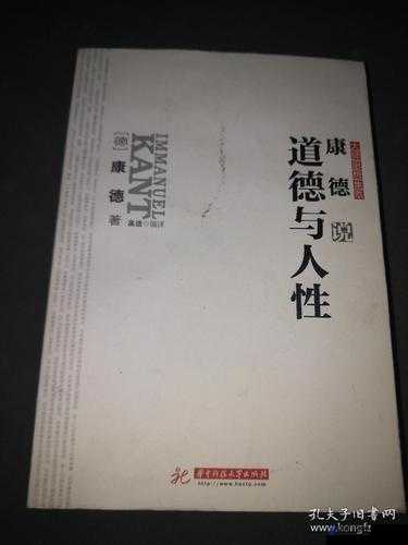 白洁东子高义小说：角色关系与情感纠葛，探讨人性与道德的复杂交织
