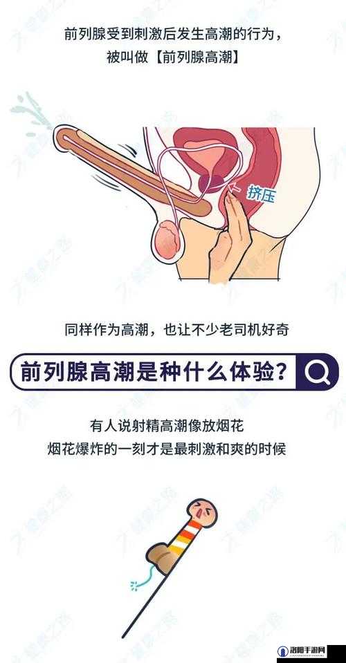 探索国产人妖前列腺高潮激情:揭秘独特体验与身心感受的深度解析