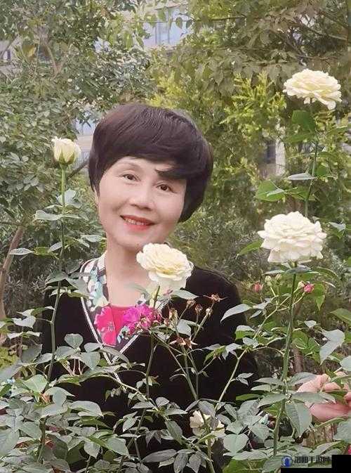 探索搡老女人、老91妇女、老熟女oo的独特魅力与时代故事：深度解析她们的智慧与经验