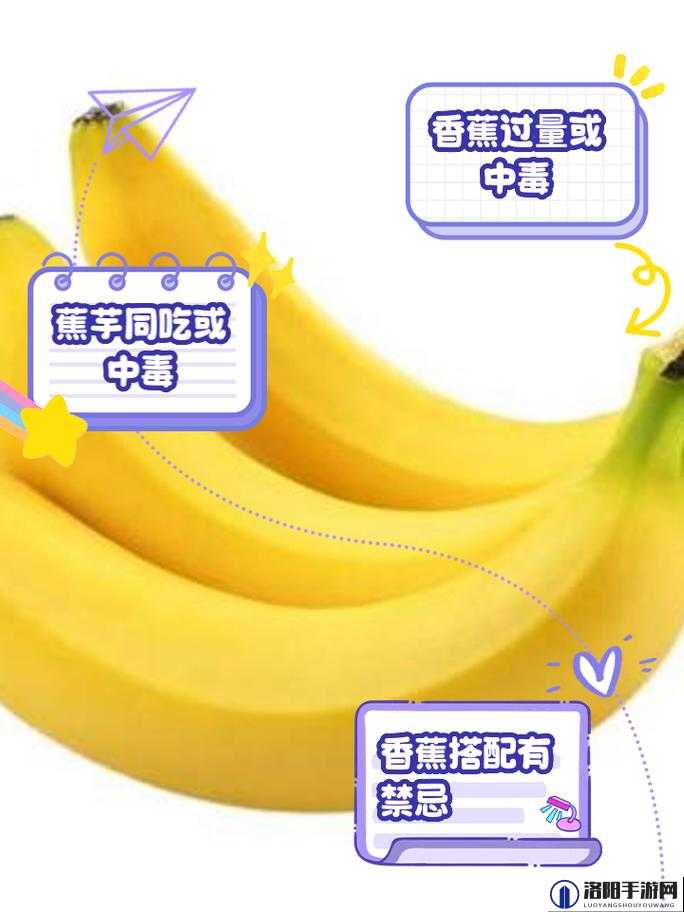 如何评价 91 香蕉黄？它为何如此受欢迎？