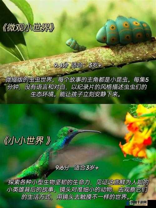 光秃秃的小缝背后隐藏的秘密:探索自然与人文的奇妙交汇点