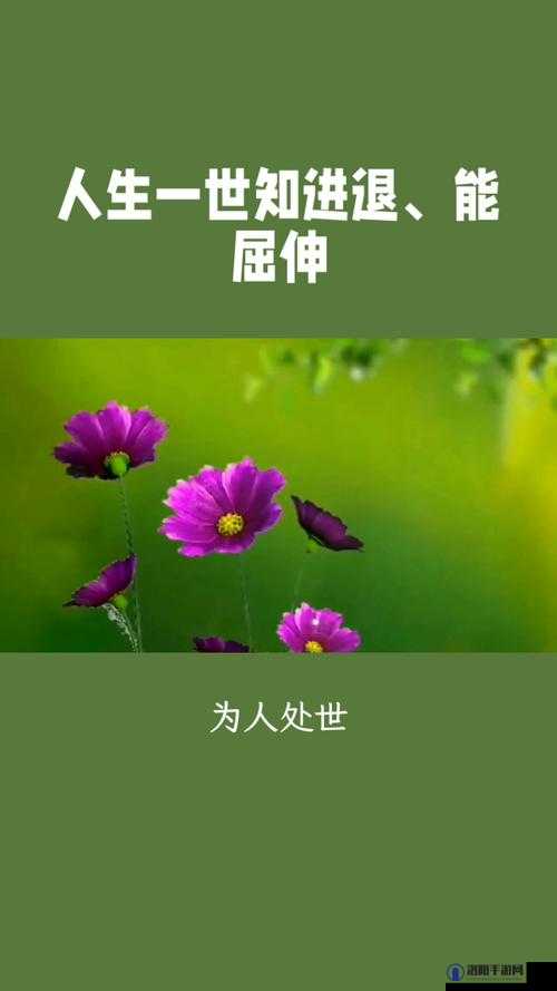 能屈能伸究竟是不是好事？深度剖析能屈能伸的意义与影响