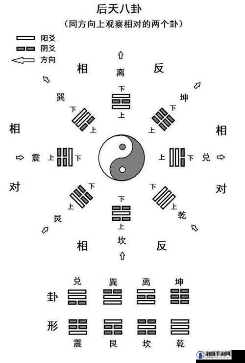 执行官八卦海究竟有何特别之处？带你深入了解其背后的故事与秘密