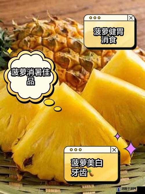 福建导航福建大菠萝2024是什么？为何它在网络上备受关注？快来一探究竟