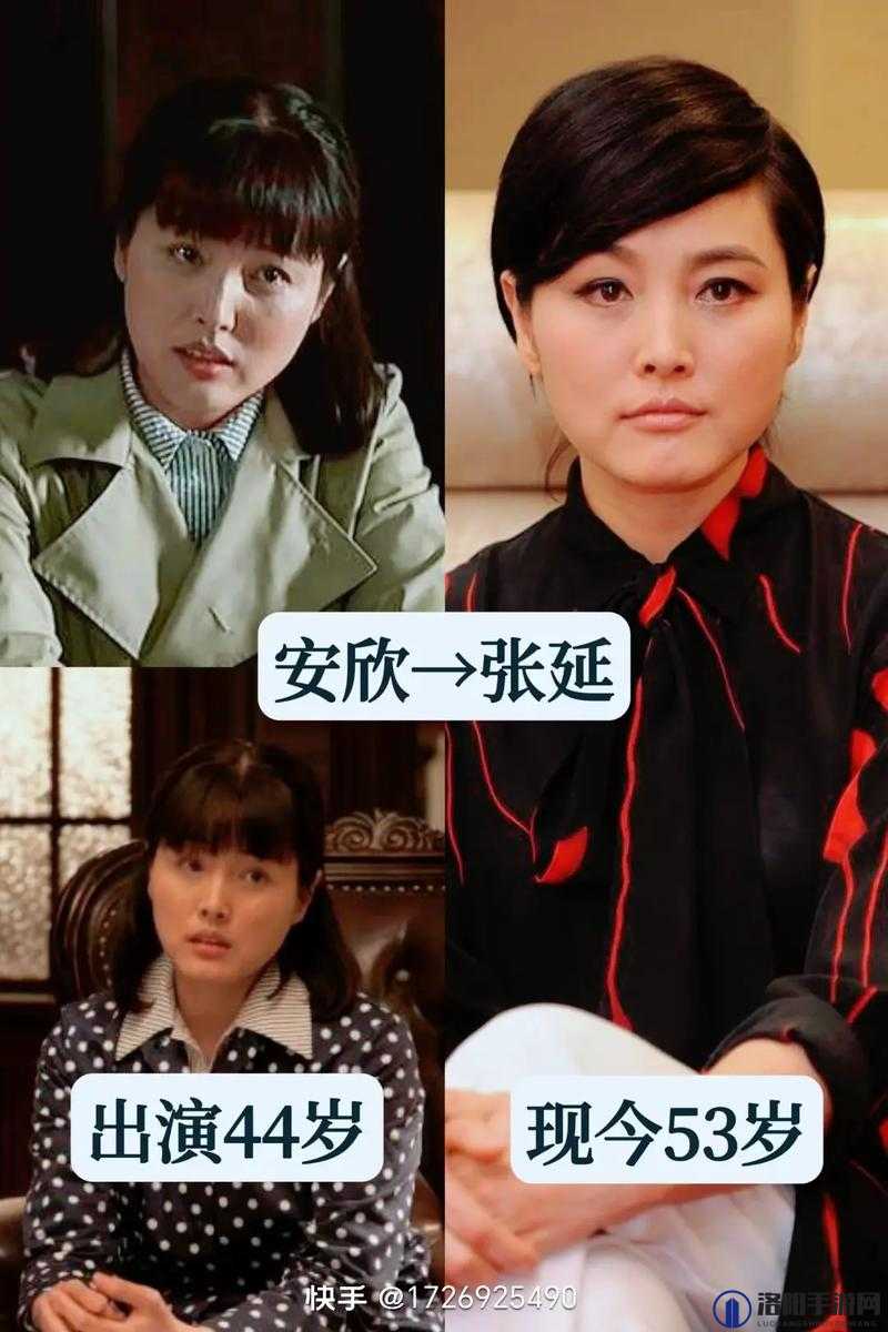 父母爱情演员表大揭秘，郭涛、梅婷等众多演员精彩呈现，你都知道吗？