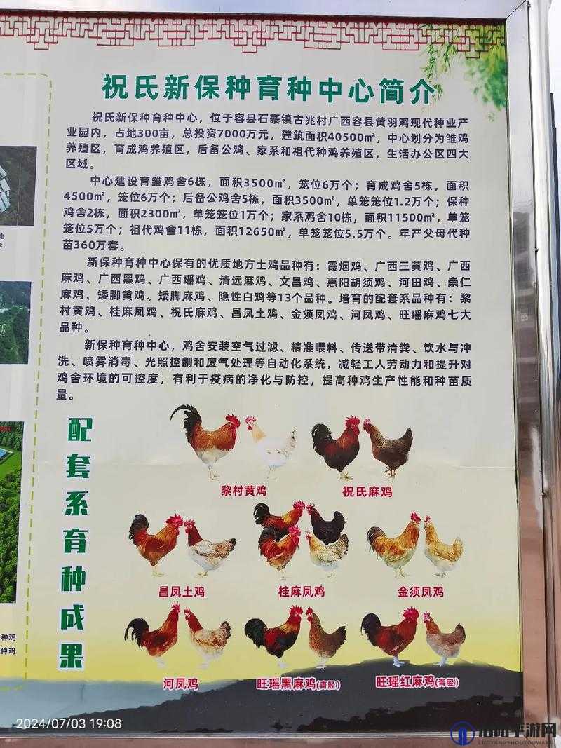人马畜禽最佳配对策略解析：如何实现高效养殖与健康管理的完美结合？