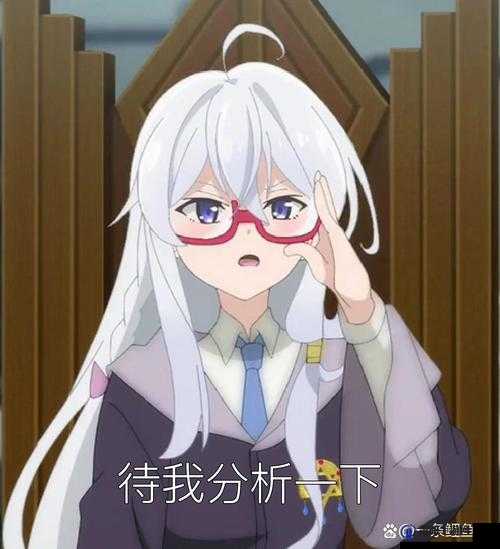 伊蕾娜对猫过敏吗？这一疑问引发众人好奇，快来一探究竟