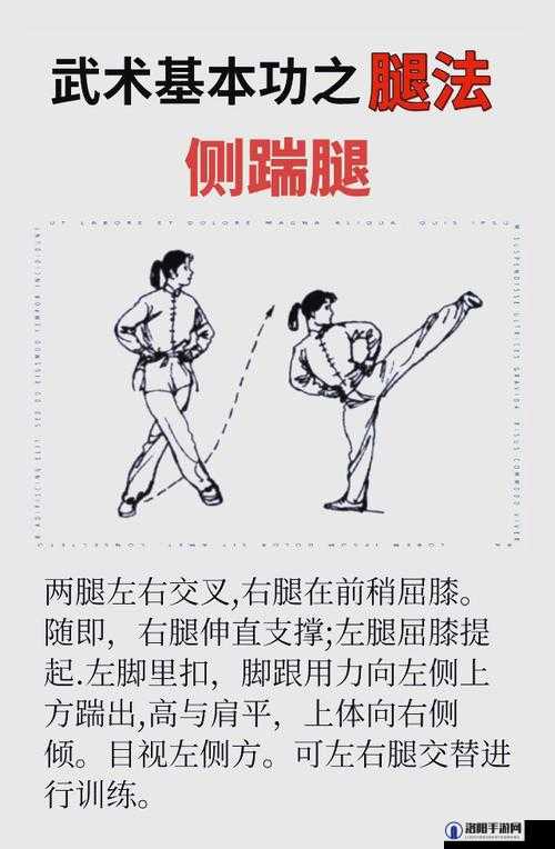 黑土腿法娴熟脚法:揭秘传统武术中的独特技巧与实战应用