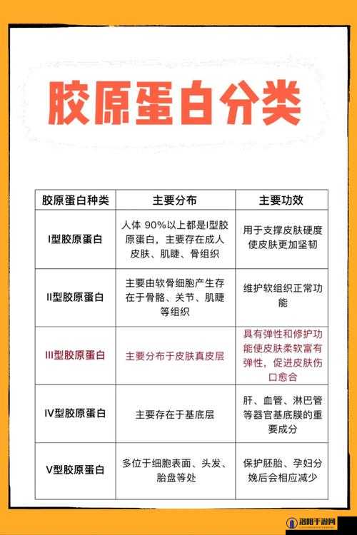 胶原蛋白果冻有何功效？怎样选择优质胶原蛋白果冻？一文读懂