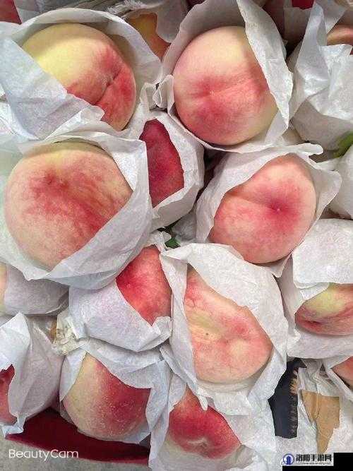 水蜜桃亚洲精品:探索亚洲独特风味与精致工艺的完美结合