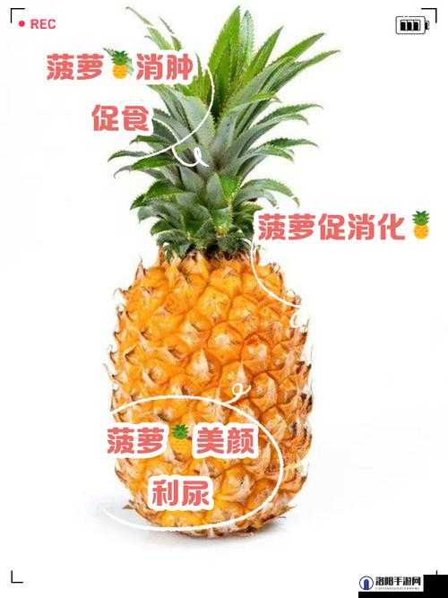 APP老司机带你深入了解大菠萝：功能详解与使用技巧全攻略