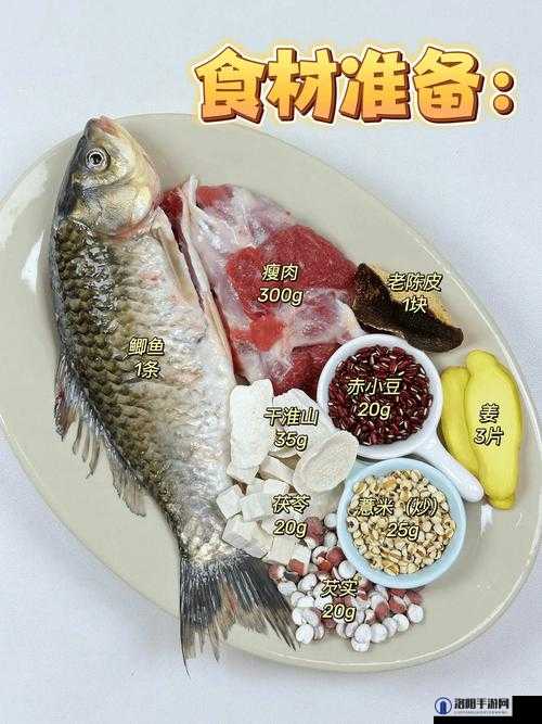 烟雨江湖中的美食秘籍，鲫鱼冬瓜汤制作全攻略