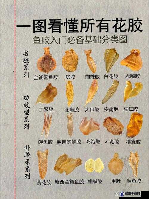 动物胶配方大全高清版观看下载哪里有？如何快速获取动物胶配方大全高清版？