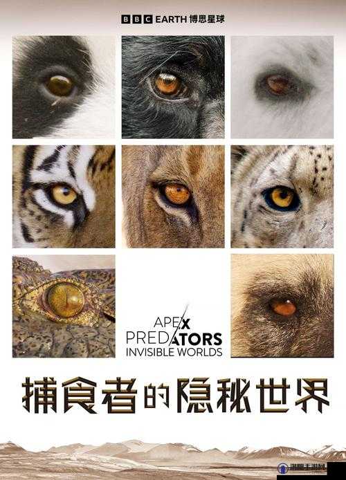 探索free另类人獸交HD的隐秘世界：高清影像背后的真相与争议