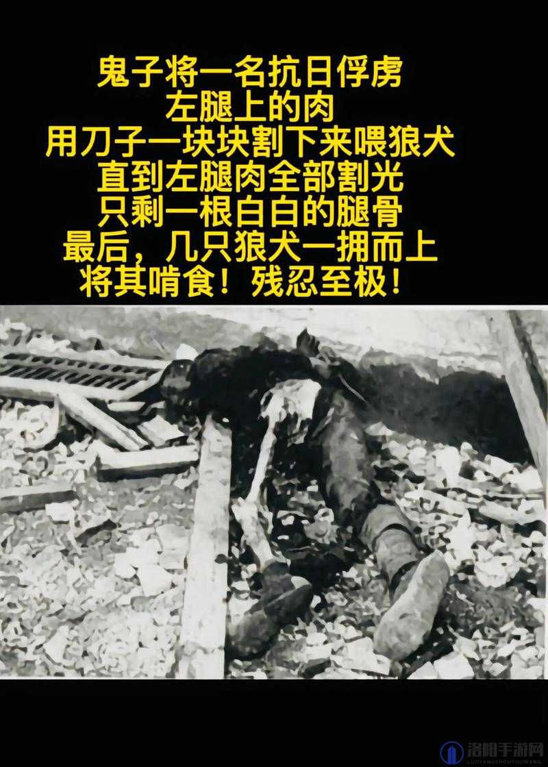 农村乱肉 100 篇：揭示农村乱象的真实故事