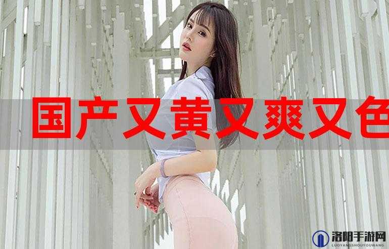 HD100videos18日本相关视频有哪些？探索日本独特的HD100videos18内容