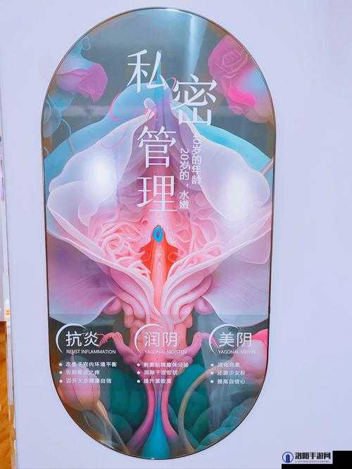 在胶囊旅馆向上传递微热：探寻私密空间中的情感纠葛