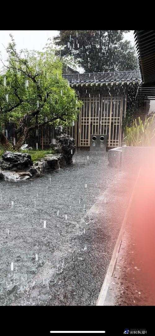 老人雨中划船采荷，孙女担心呼喊却无人应答